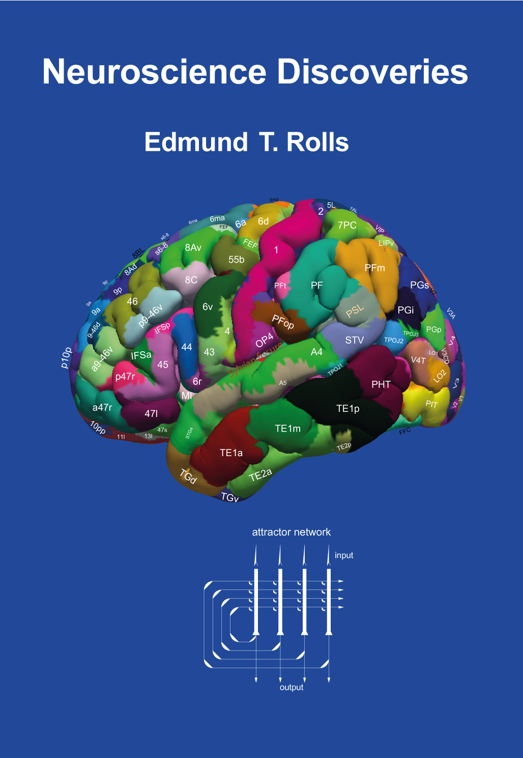 Neuroscience Discoveries